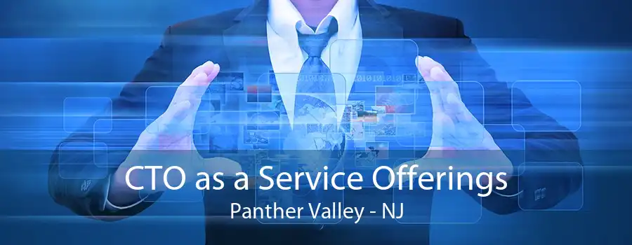 CTO as a Service Offerings Panther Valley - NJ