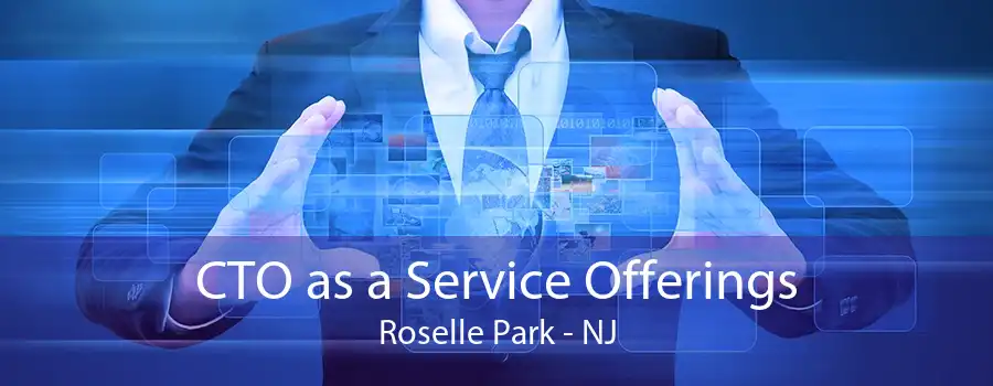 CTO as a Service Offerings Roselle Park - NJ