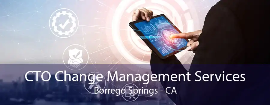 CTO Change Management Services Borrego Springs - CA