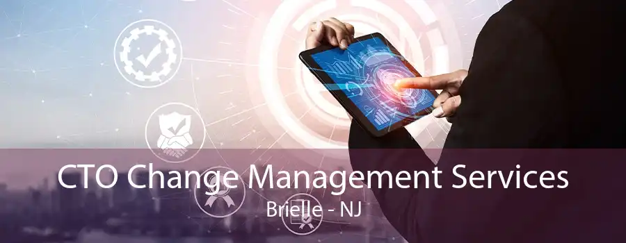 CTO Change Management Services Brielle - NJ