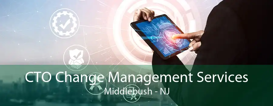 CTO Change Management Services Middlebush - NJ