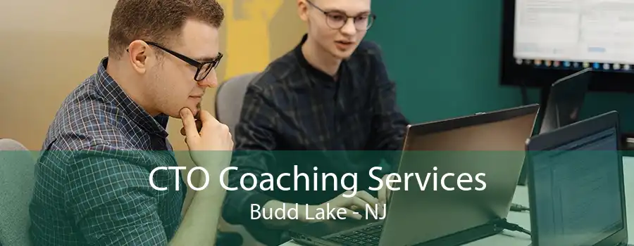 CTO Coaching Services Budd Lake - NJ