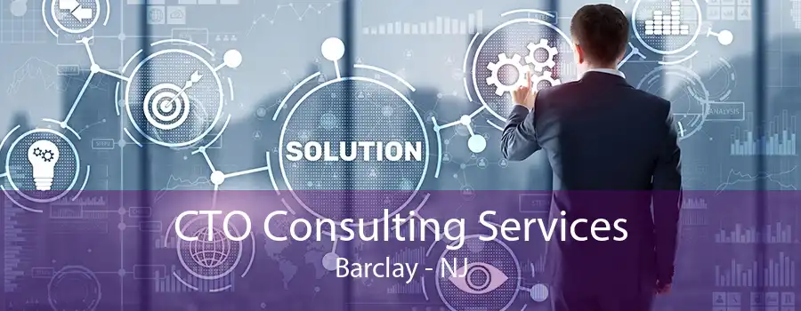 CTO Consulting Services Barclay - NJ