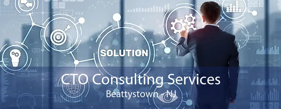 CTO Consulting Services Beattystown - NJ