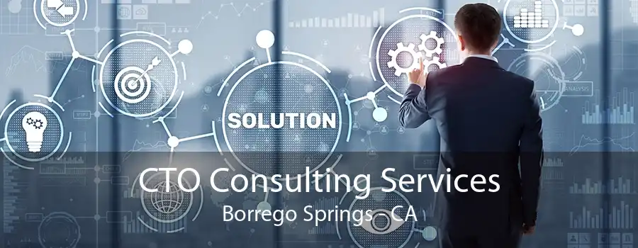 CTO Consulting Services Borrego Springs - CA