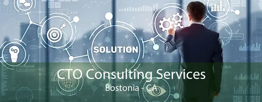 CTO Consulting Services Bostonia - CA