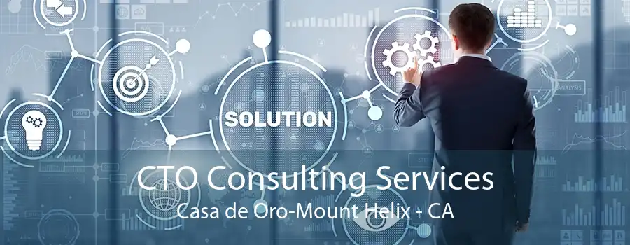 CTO Consulting Services Casa de Oro-Mount Helix - CA