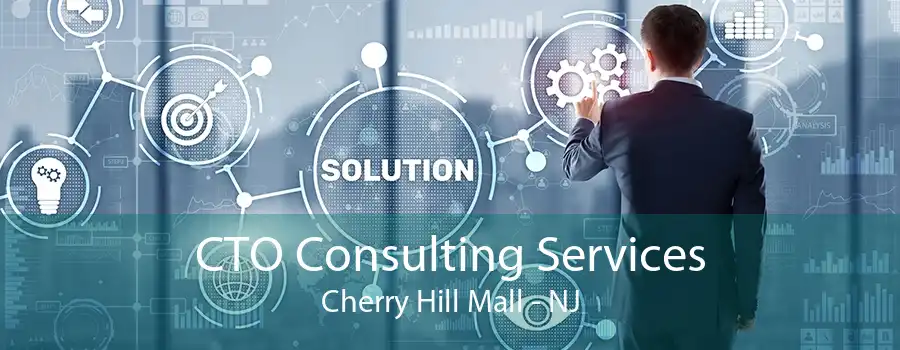 CTO Consulting Services Cherry Hill Mall - NJ