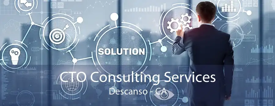 CTO Consulting Services Descanso - CA