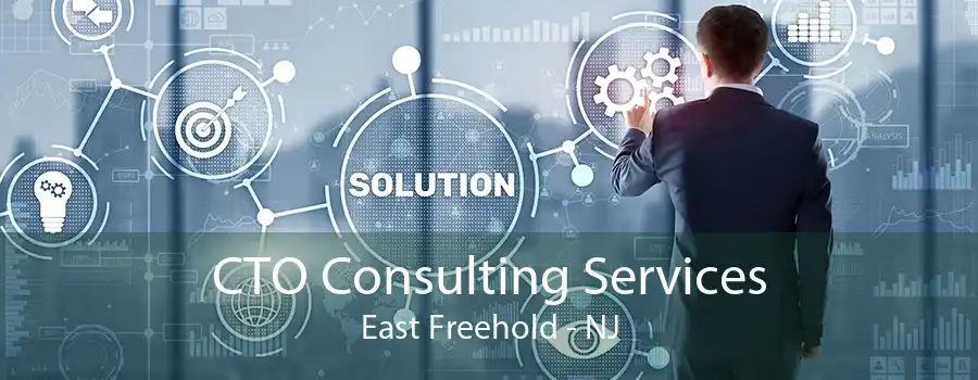 CTO Consulting Services East Freehold - NJ