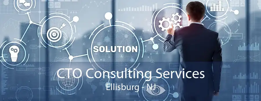 CTO Consulting Services Ellisburg - NJ