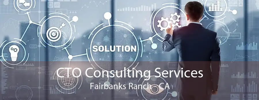 CTO Consulting Services Fairbanks Ranch - CA