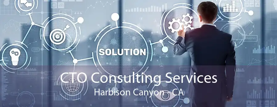 CTO Consulting Services Harbison Canyon - CA