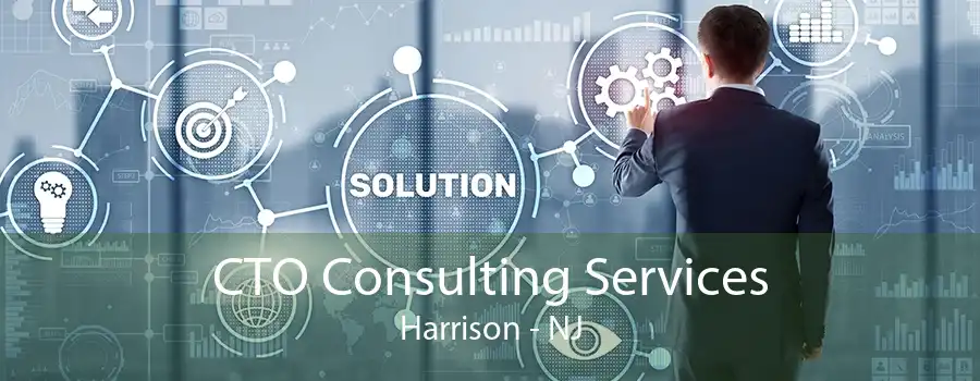 CTO Consulting Services Harrison - NJ