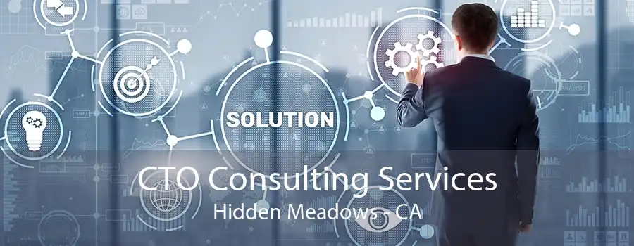 CTO Consulting Services Hidden Meadows - CA