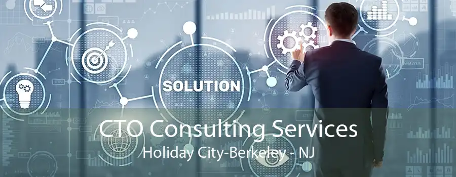 CTO Consulting Services Holiday City-Berkeley - NJ