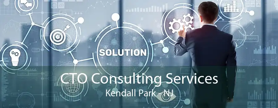 CTO Consulting Services Kendall Park - NJ