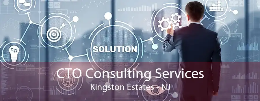 CTO Consulting Services Kingston Estates - NJ