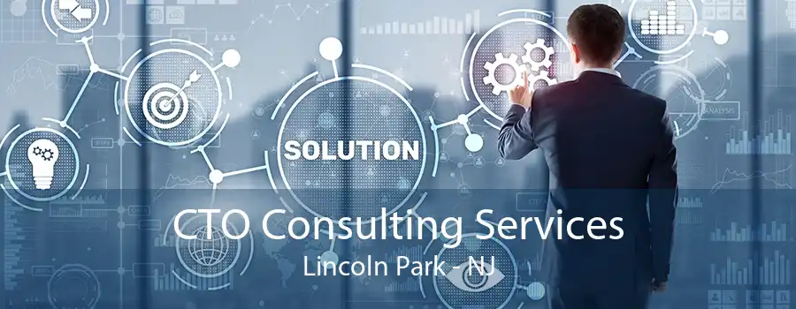 CTO Consulting Services Lincoln Park - NJ