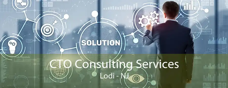 CTO Consulting Services Lodi - NJ