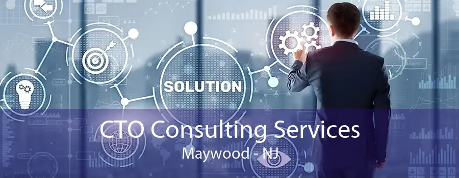 CTO Consulting Services Maywood - NJ