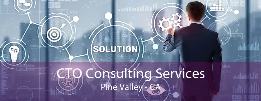 CTO Consulting Services Pine Valley - CA