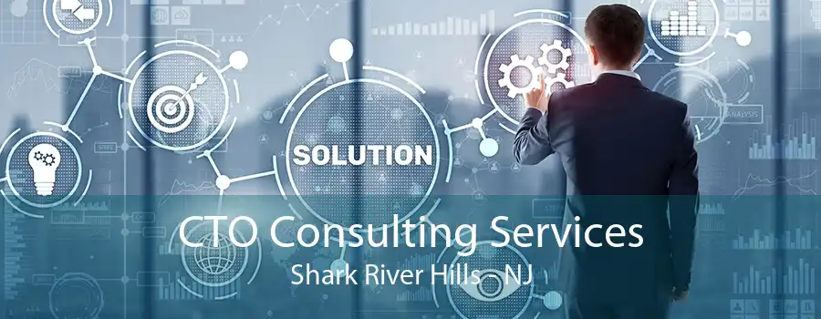 CTO Consulting Services Shark River Hills - NJ