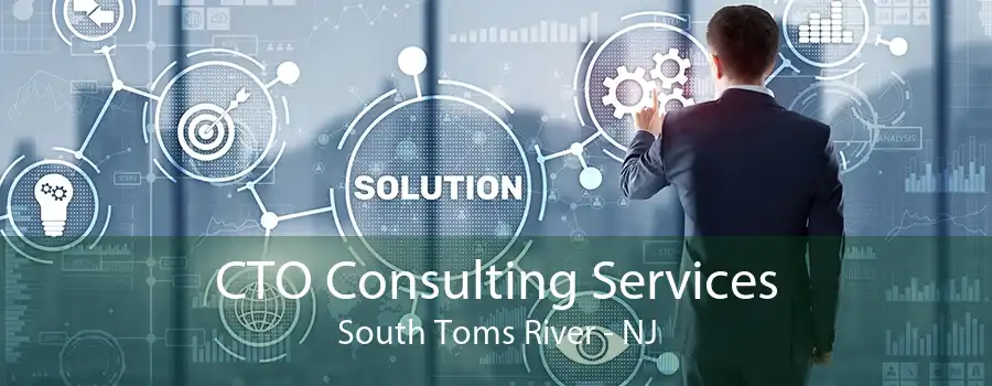 CTO Consulting Services South Toms River - NJ