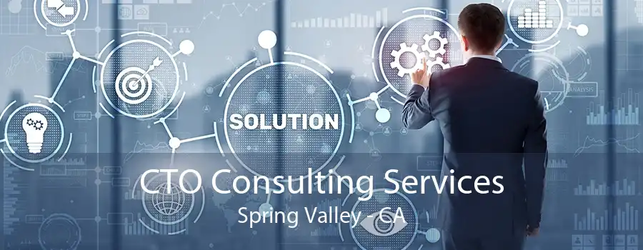 CTO Consulting Services Spring Valley - CA