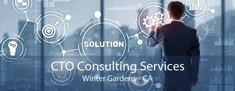 CTO Consulting Services Winter Gardens - CA