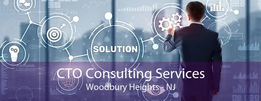 CTO Consulting Services Woodbury Heights - NJ