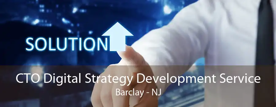 CTO Digital Strategy Development Service Barclay - NJ