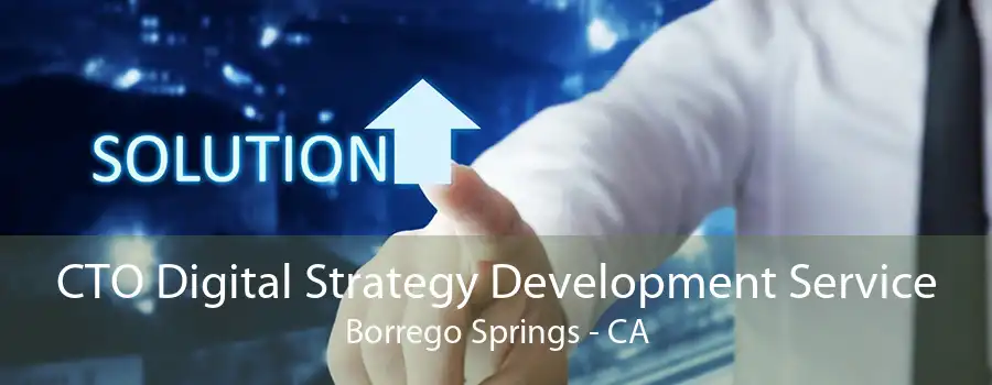 CTO Digital Strategy Development Service Borrego Springs - CA