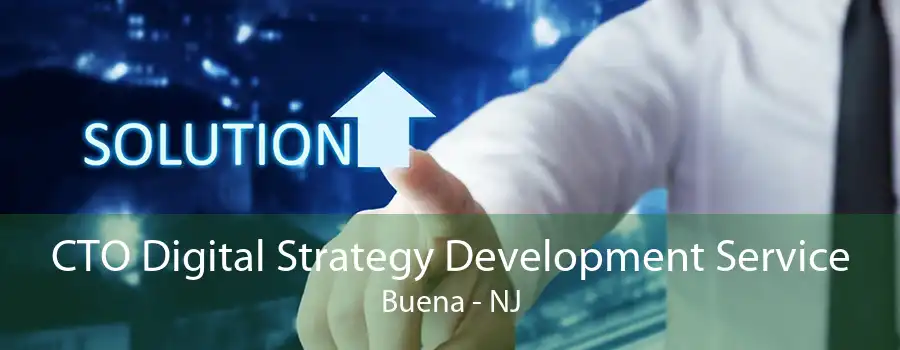 CTO Digital Strategy Development Service Buena - NJ