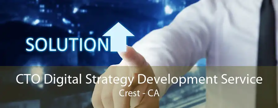 CTO Digital Strategy Development Service Crest - CA