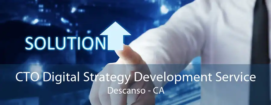 CTO Digital Strategy Development Service Descanso - CA