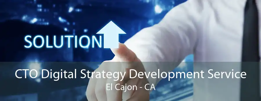 CTO Digital Strategy Development Service El Cajon - CA