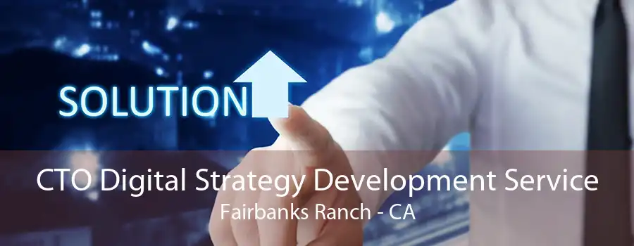 CTO Digital Strategy Development Service Fairbanks Ranch - CA