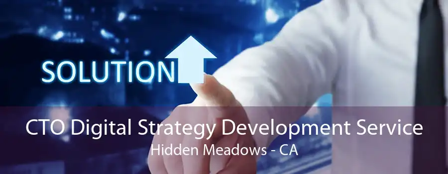 CTO Digital Strategy Development Service Hidden Meadows - CA