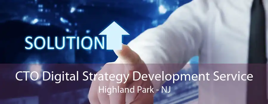 CTO Digital Strategy Development Service Highland Park - NJ