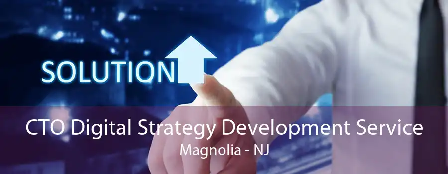 CTO Digital Strategy Development Service Magnolia - NJ