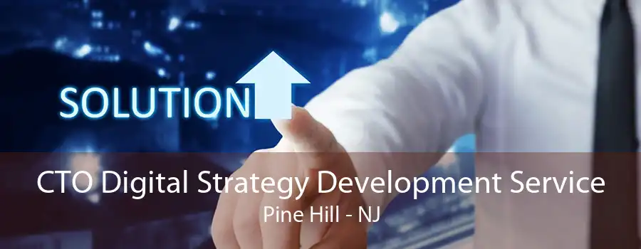 CTO Digital Strategy Development Service Pine Hill - NJ