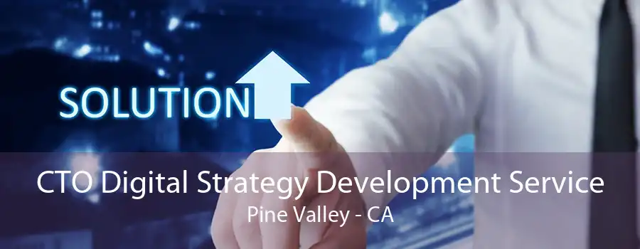 CTO Digital Strategy Development Service Pine Valley - CA