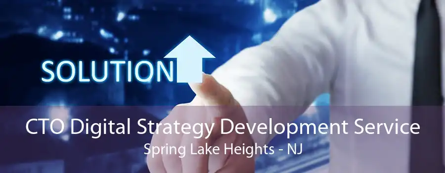 CTO Digital Strategy Development Service Spring Lake Heights - NJ