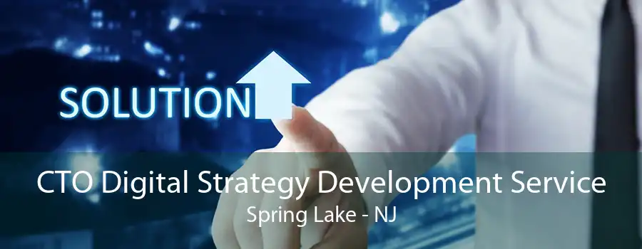 CTO Digital Strategy Development Service Spring Lake - NJ