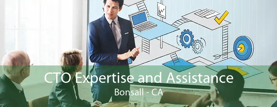 CTO Expertise and Assistance Bonsall - CA