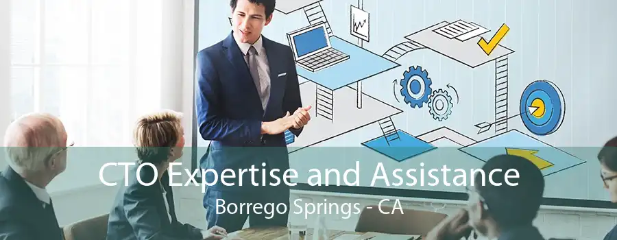 CTO Expertise and Assistance Borrego Springs - CA