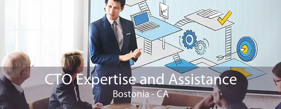 CTO Expertise and Assistance Bostonia - CA