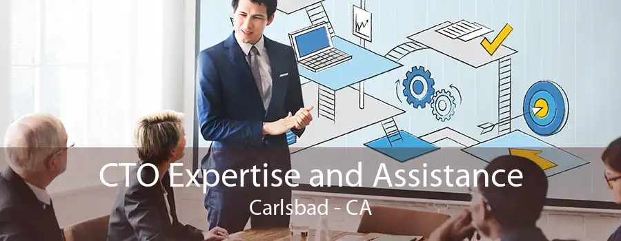 CTO Expertise and Assistance Carlsbad - CA