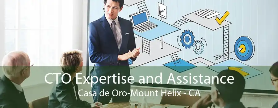 CTO Expertise and Assistance Casa de Oro-Mount Helix - CA